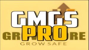 GMGS PRO EA V2.9 MT4