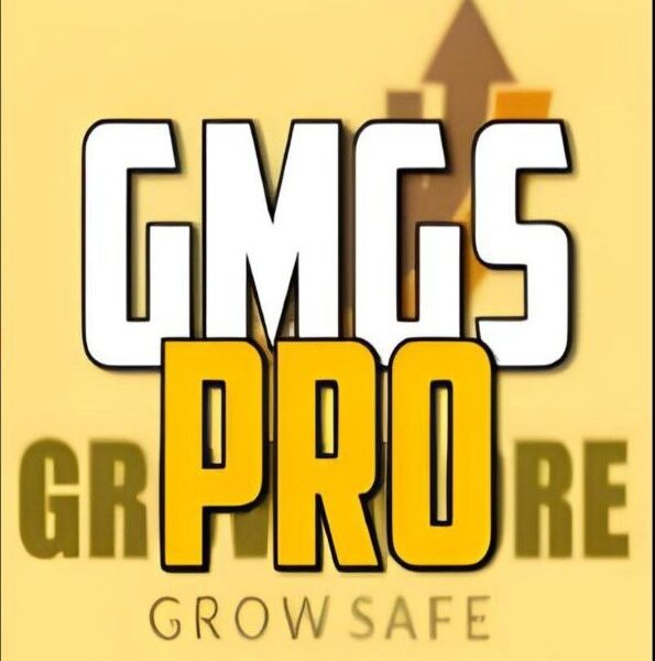 GMGS PRO EA V2.9 MT4