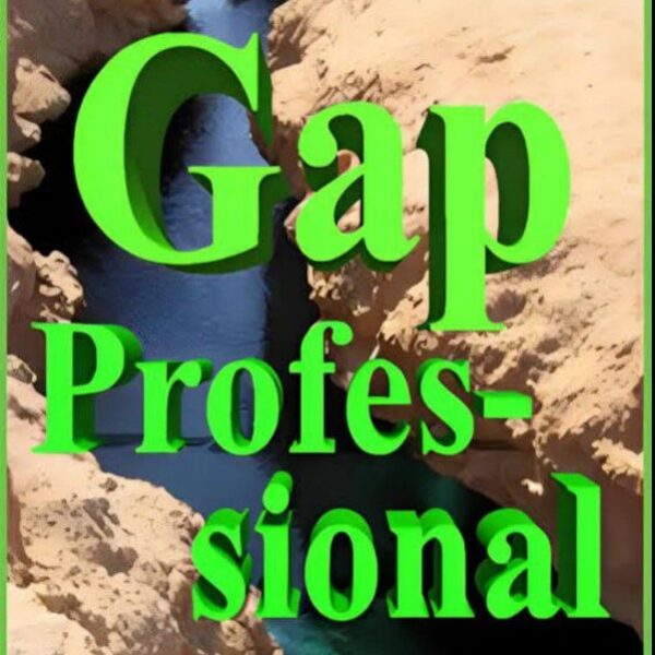 Gap Professional EA V1.4 MT4