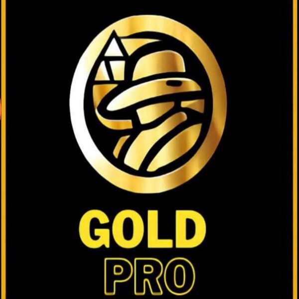Gold Pro EA V1.9 MT4