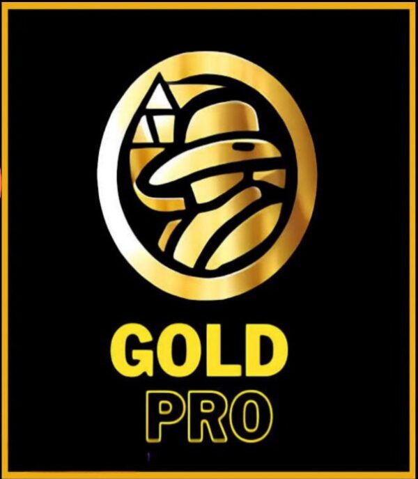 Gold Pro EA V1.9 MT4