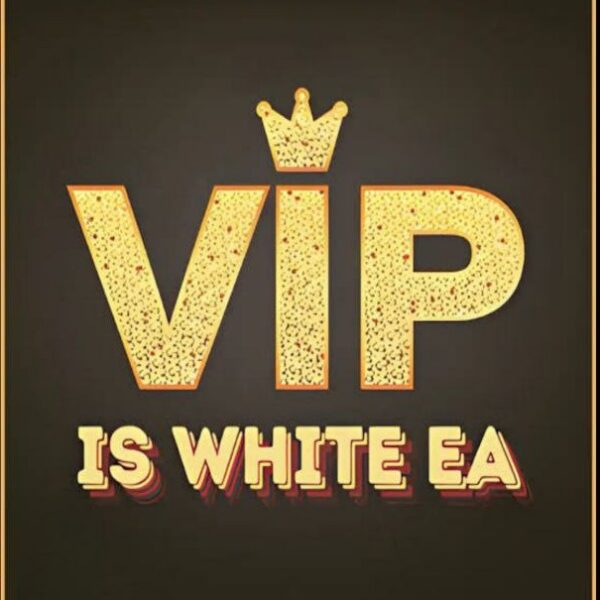 IS White EA V1.0 MT4