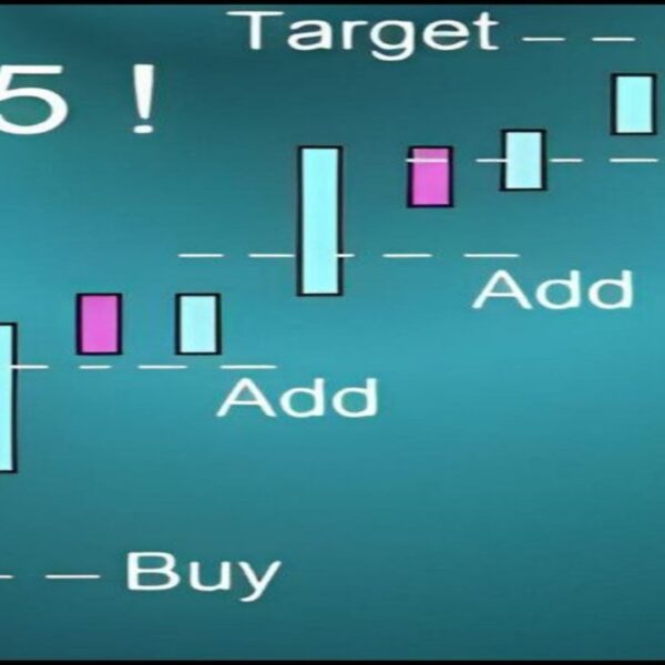 Riskless Pyramid EA v1.0 MT4