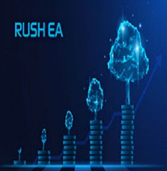 Rush EU M5 EA v1.0 MT4