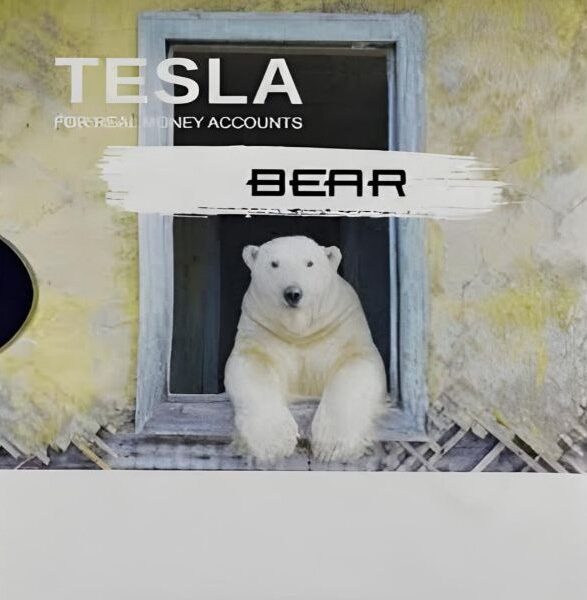 TeslaEASoft Bear v1.0 MT4