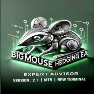BigMouse Hedging EA v2.1 MT5