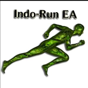 Indo Run EA v1.5 MT4