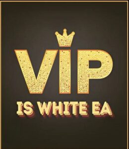 IS White EA v1.0 MQ4 Source Code