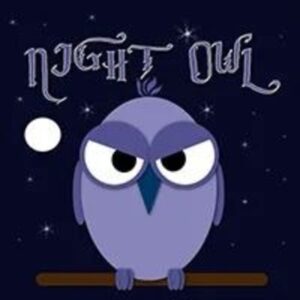 Night Owl EA v3.02 MT4