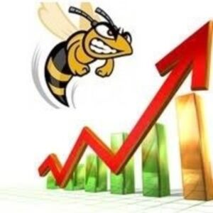Bumblebee EA v1.64 MT5